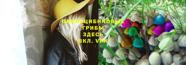 твердый Волоколамск