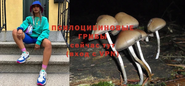 apvp Володарск