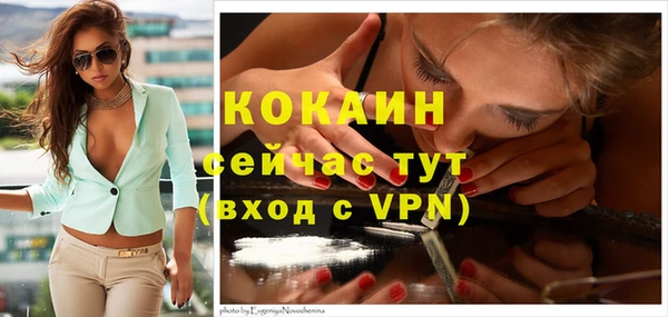 твердый Волоколамск