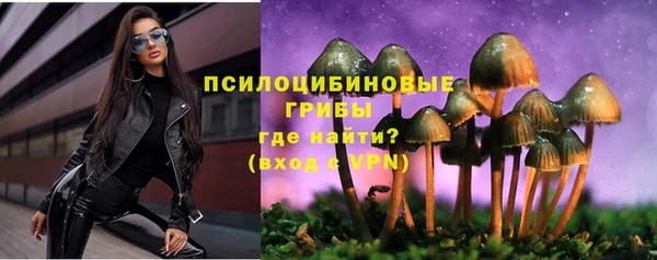 apvp Володарск