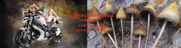 эйфоретик Вязники